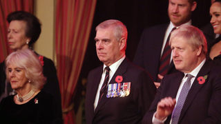 The Palace's Prince Andrew Problem